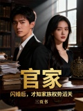 官家：闪婚后，才知家族权势滔天