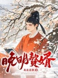 晚明赘婿
